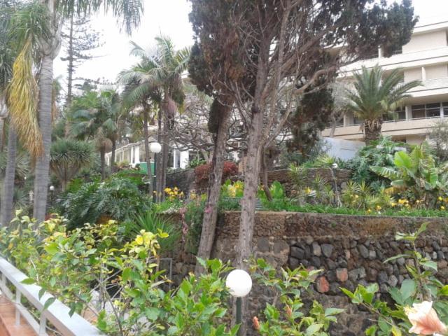 Tranquilo Apartamento Puerto De La Cruz Экстерьер фото